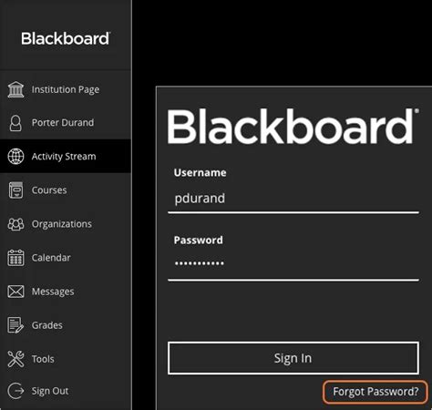 blackboard iniciar sesión.